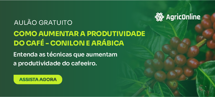 Efeitos da nutrirrigação em lavouras de café conilon - A Lavoura